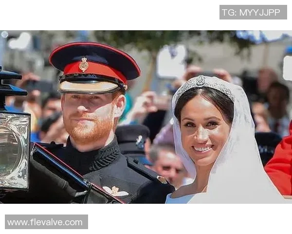 探索阿美利加的历史与文化魅力，揭示其在全球舞台上的独特地位与影响力