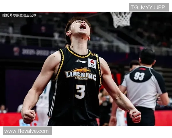 广东与深圳季后赛精彩对决录像回放全程回顾与分析