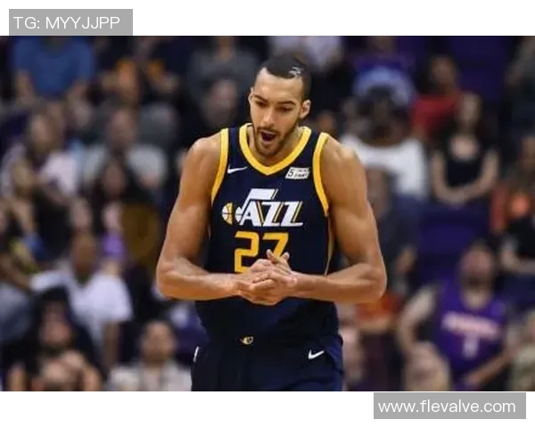 鲁迪戈贝尔如何在NBA赛场上重塑防守标准与球队价值