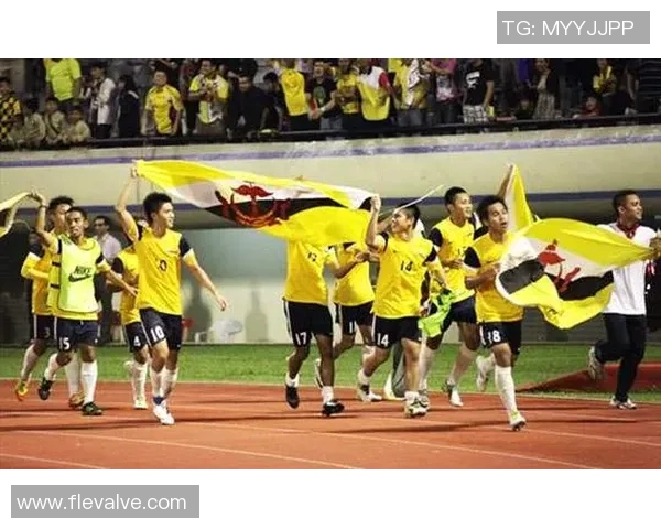 香港与文莱足球比赛精彩直播全程回顾与分析