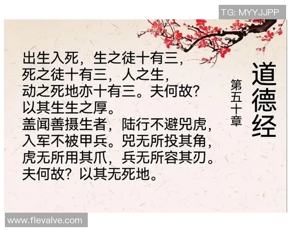 死亡隔扣背后的真相与启示探讨人性与道德的边界