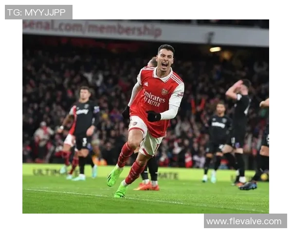 马丁内利：从青涩新星到足球场上的璀璨明珠之路