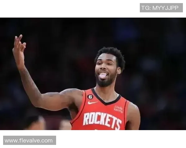 2014年火箭与灰熊激战回顾：经典对决中的精彩瞬间与战术分析