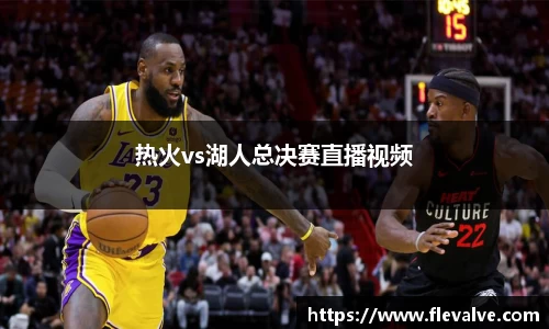热火vs湖人总决赛直播视频