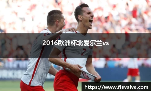 2016欧洲杯北爱尔兰vs