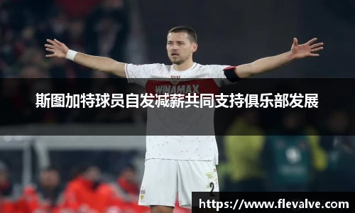 斯图加特球员自发减薪共同支持俱乐部发展