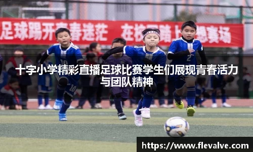 JN江南下载