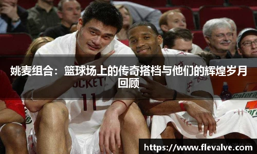 姚麦组合：篮球场上的传奇搭档与他们的辉煌岁月回顾
