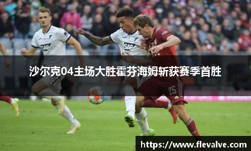 沙尔克04主场大胜霍芬海姆斩获赛季首胜